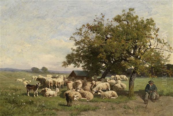Schafherde Und Hirte In Einer Weiten Sommerlandschaft - view 1