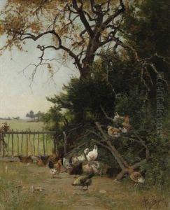 Coqs Et Poules Dans La Campagne
