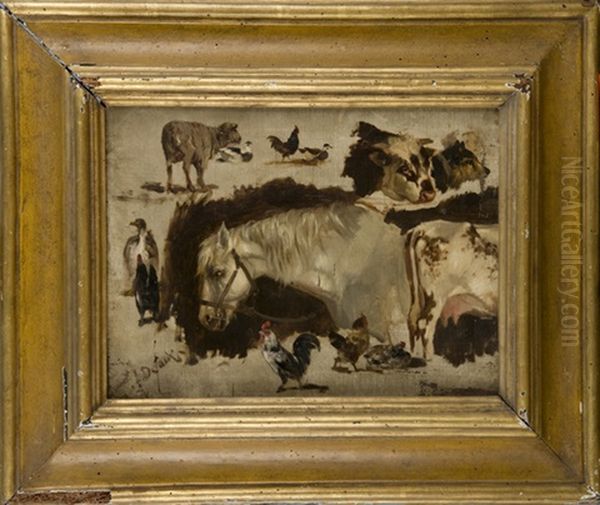 Animali Da Cortile (studi) - view 1