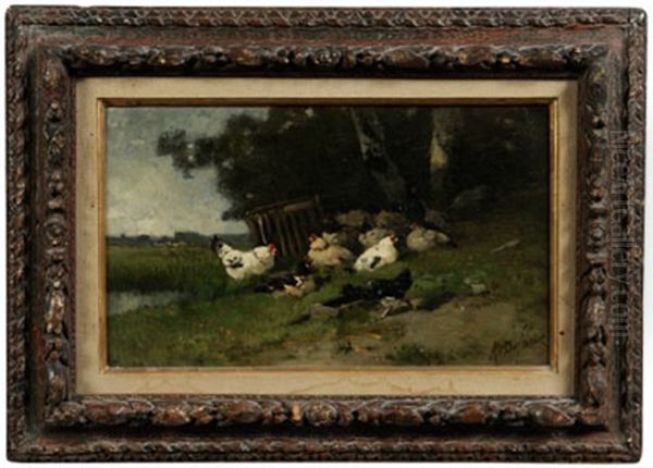 Chickens Under A Tree - view 1