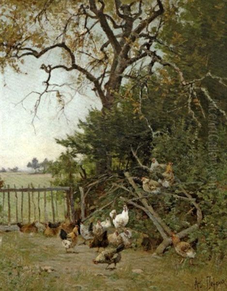 Coqs Et Poules Dans La Campagne - view 1