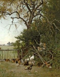 Coqs Et Poules Dans La Campagne Coqs Et Poules Dans La Campagne