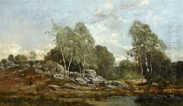 Cerfs Et Biches En Foret De Barbizon - view 1