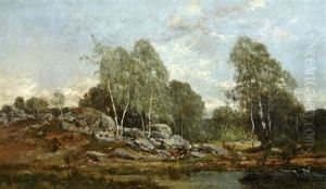 Cerfs Et Biches En Foret De Barbizon