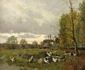 Coqs Et Poules Dans La Plaine De Montigny Sur Loing
