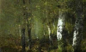Promenade En Sous-bois