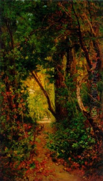 Satyrs In The Forest - view 1