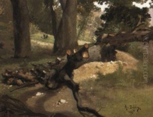 A Fallen Tree by Alexandre Defaux