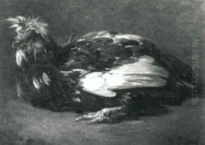 A Black And White Cock A Black And White Cock