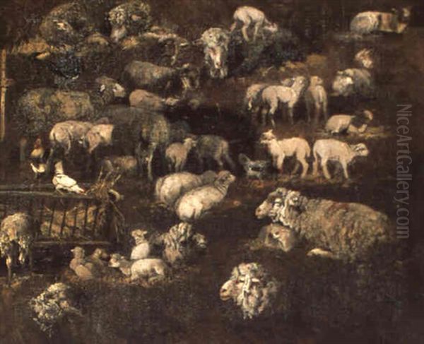 Etude De Moutons - view 1