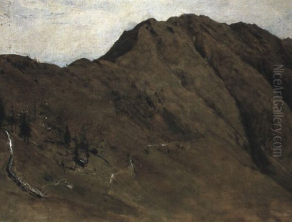 Trattenberger Hohe - view 1