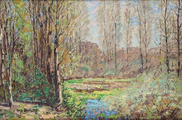 La Mare Aux Bouleaux - view 1