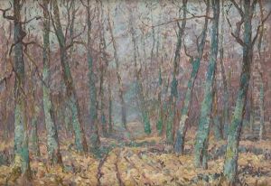 Effets De Lumiere Dans La Clairiere by Henri Deglume