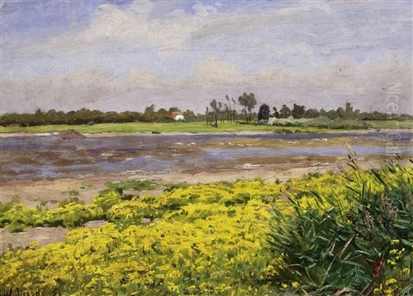 Bluhendes Ufer Am Niederrhein - view 1