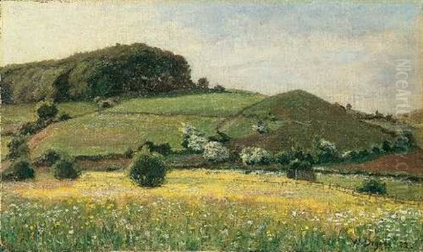 Eifellandschaft - view 1