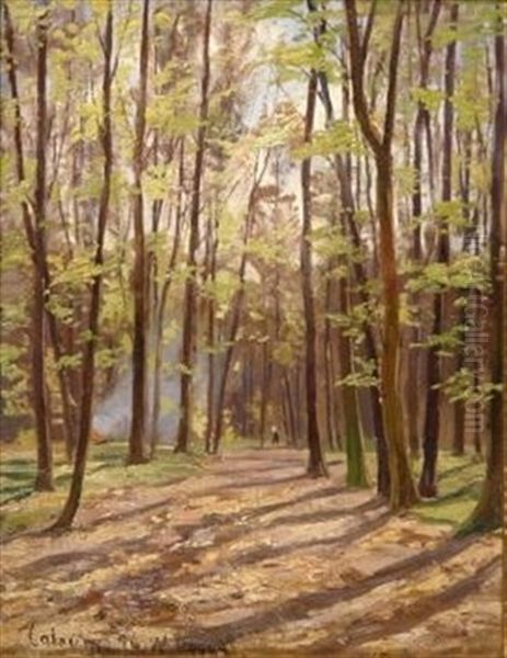 Blick In Den Kalkumer Wald. Im Hintergrund Ein Forster Bei Einem Lagerfeuer - view 1