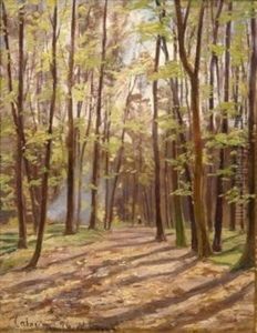 Blick In Den Kalkumer Wald. Im Hintergrund Ein Forster Bei Einem Lagerfeuer