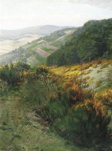 Eifellandschaft Mit Bluhendem Ginster