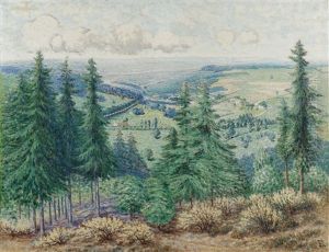 L'ete, Ardennes