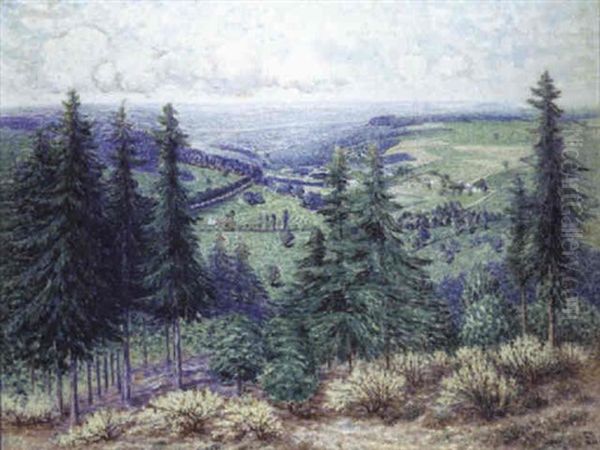 L'ete (haute Ardenne) - view 1