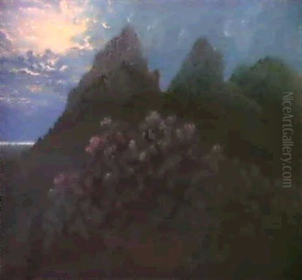 Nuit De Lune A Companano, Baleares - view 1