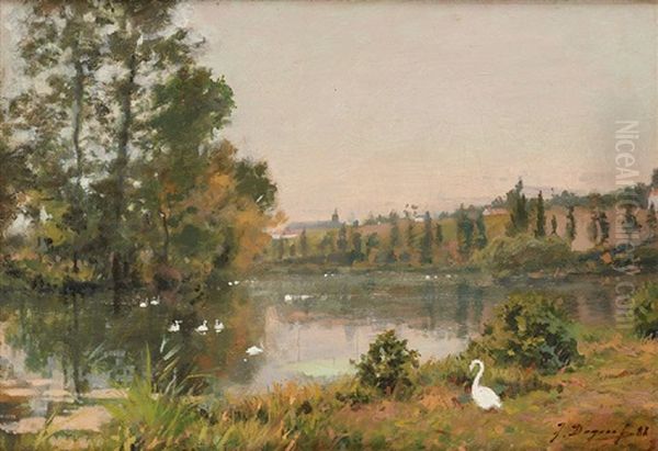 Canards Sur L"etang A Auderghem - view 1