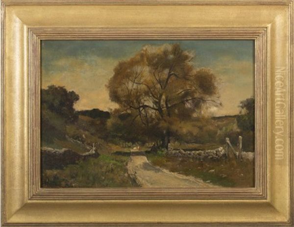 Path Through A Country Meadow With Stone Walls - view 1