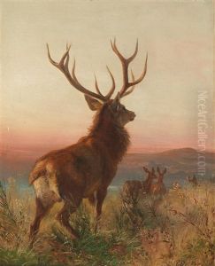 Trophy Stag With Animals At Dusk by Carl Friedrich Deiker