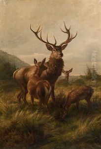 Twelve-pointer With Hinds by Carl Friedrich Deiker