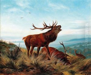 Hirschbrunft by Carl Friedrich Deiker