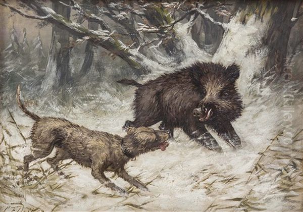 Im Winterwald Stellt Ein Jagdhund Ein Wildschwein - view 1