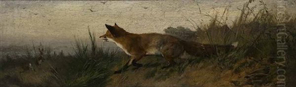 Schnurender Fuchs - view 1