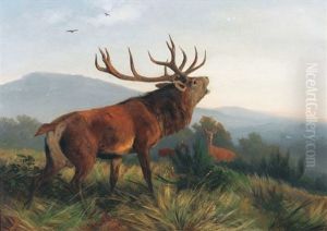 Rohrender Hirsch Mit Rehen by Carl Friedrich Deiker