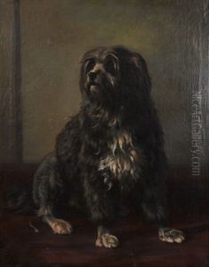 Dog Picture