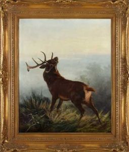 Zehnender In Der Brunft