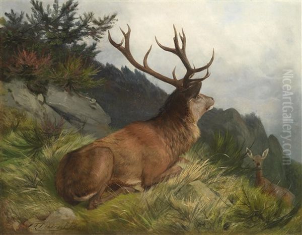 Hirsch In Einer Landschaft Stehend - view 1
