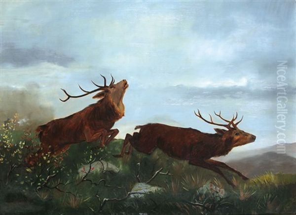 Hirsch Mit Hirschkuh - view 1