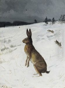 Hasen Auf Verschneitem Feld