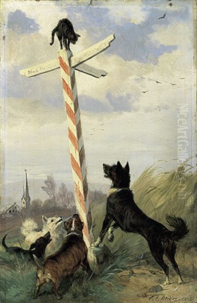 Vier Verschiedene Hunde Verfolgen Eine Katze, Die Sich Auf Einem Wegweiser "nach Hanau - Nach Hochstadt" In Sicherheit Gebracht Hat - view 1