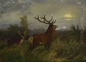 Hirsch Mit Rehen Im Mondlicht by Carl Friedrich Deiker