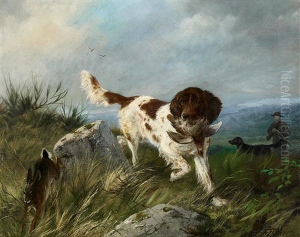 Jagdhund - view 1