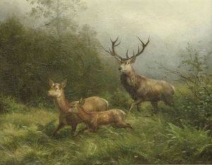 Rotwild Auf Einer Lichtung Im Morgengrauen, Gefahr Witternd