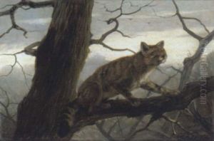 Wildkatze Im Geast Eines Baumes Wildkatze Im Geast Eines Baumes