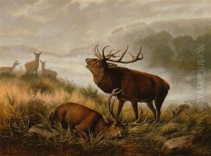 Platzhirsch by Carl Friedrich Deiker