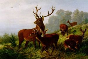 Rotwild Auf Einer Anhohe by Carl Friedrich Deiker