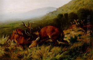 Kampfende Hirsche Auf Einer Waldlichtung by Carl Friedrich Deiker