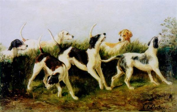Jagdhunde - view 1