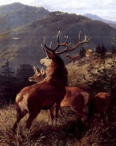 Bjerglandskab Med Kronhjorte by Carl Friedrich Deiker