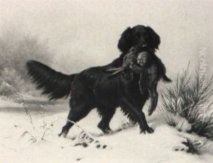 Deutsch-langhaar Hund, Einen Hasen Apportierend