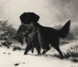 Deutsch-langhaar Hund, Einen Fuchs Angreifend